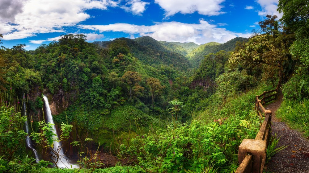 Mountains and rainforest