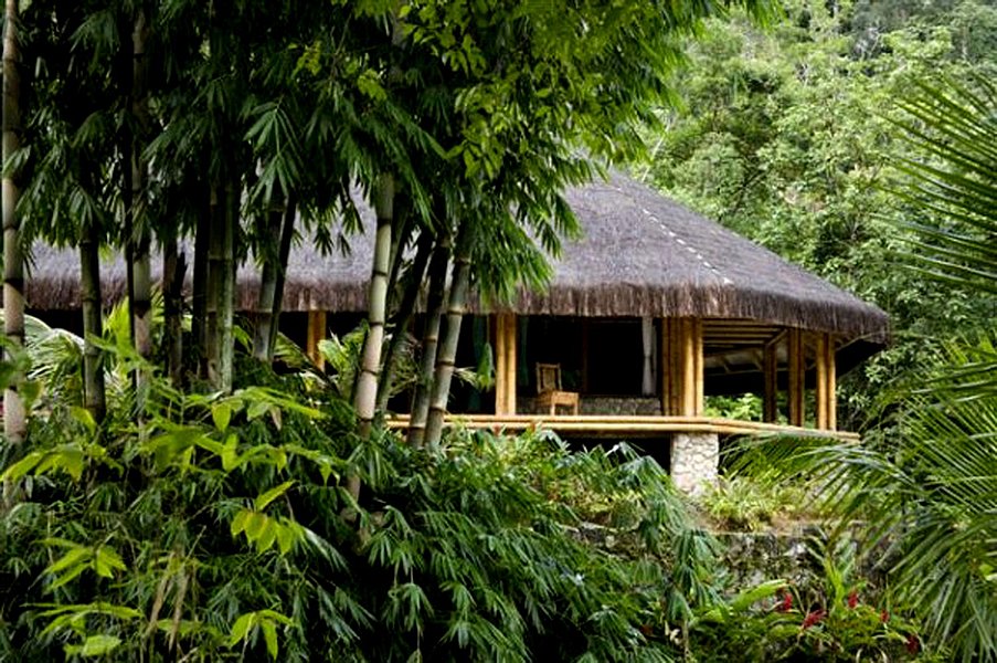 Bamboo Jungle House