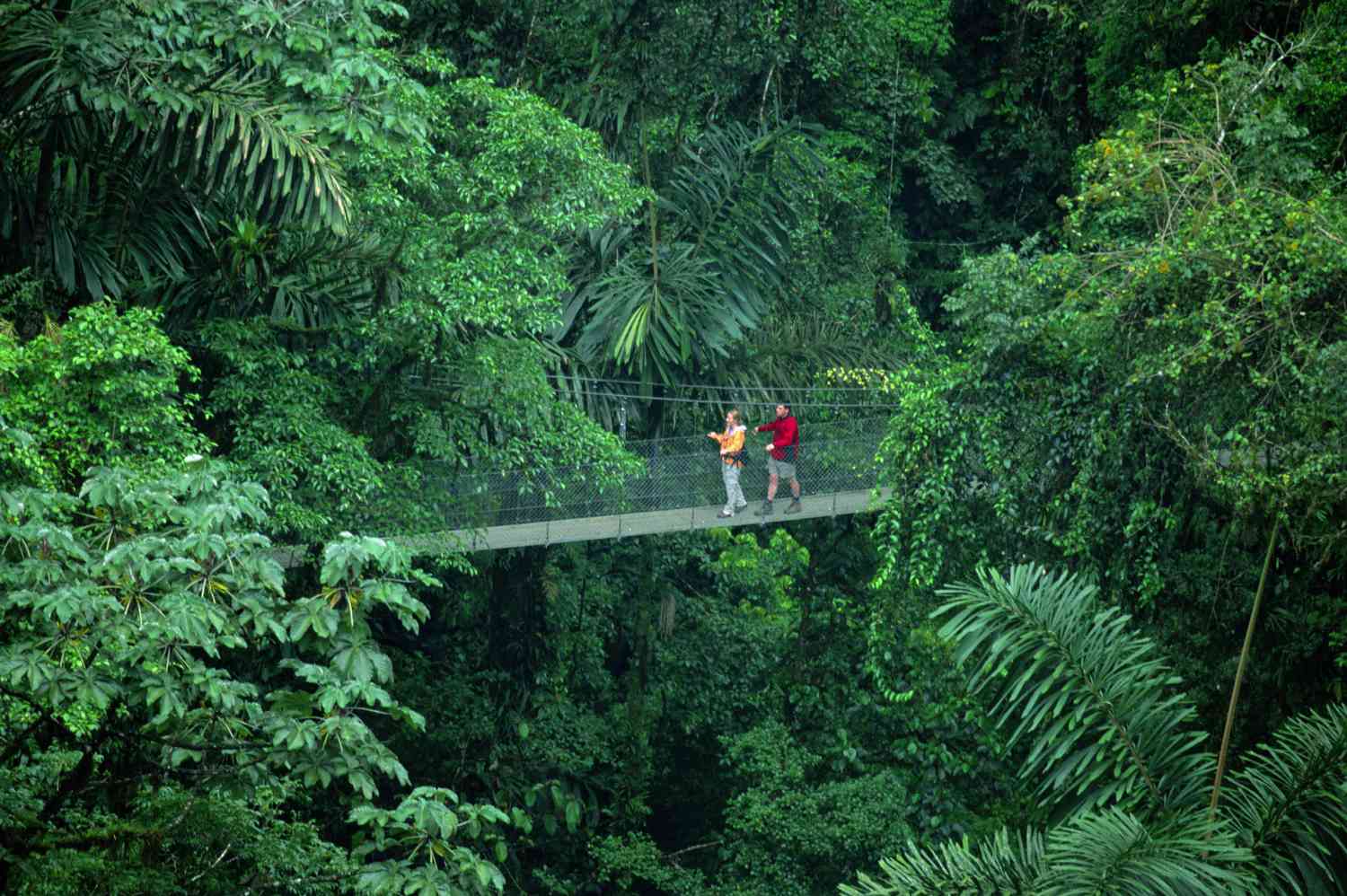 Costa Rican Rainforest in La Fortuna