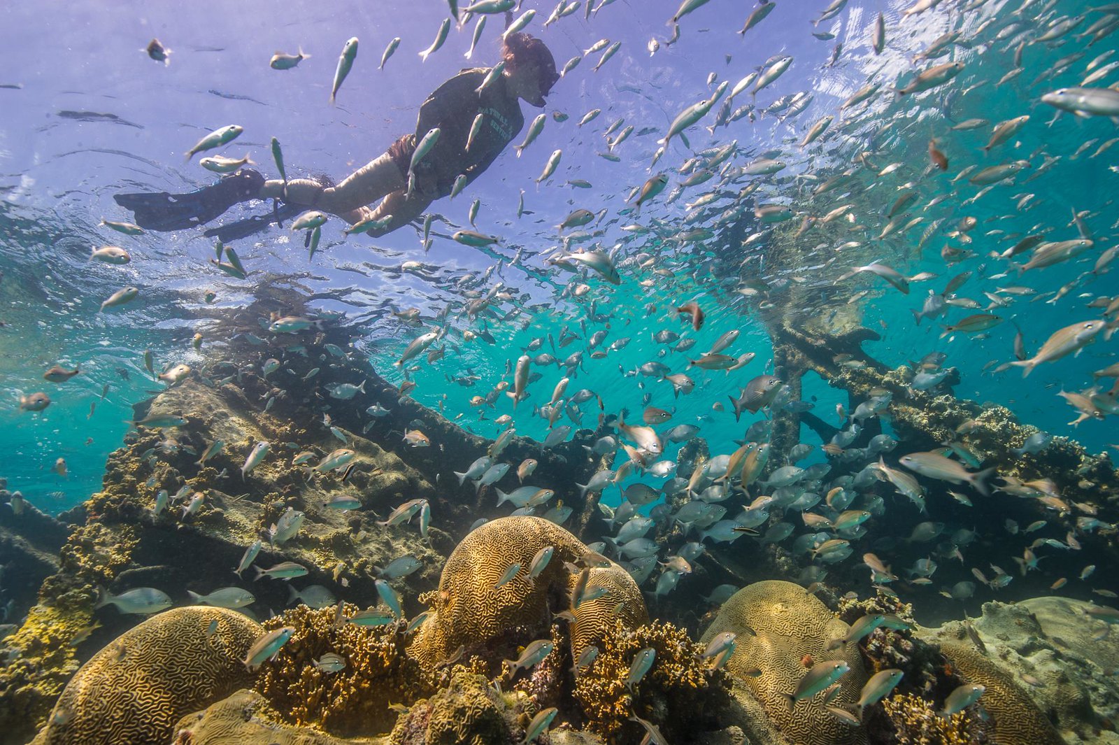 Snorkeling at Dry Tortugas National Park