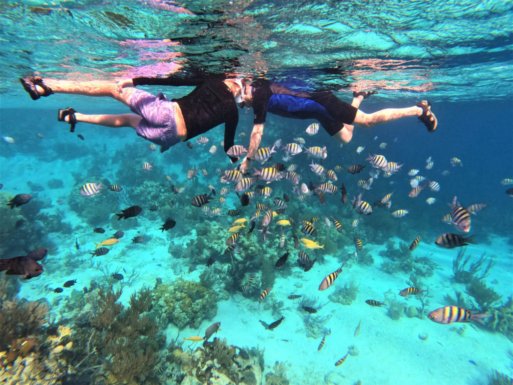Snorkeling in the Exumas