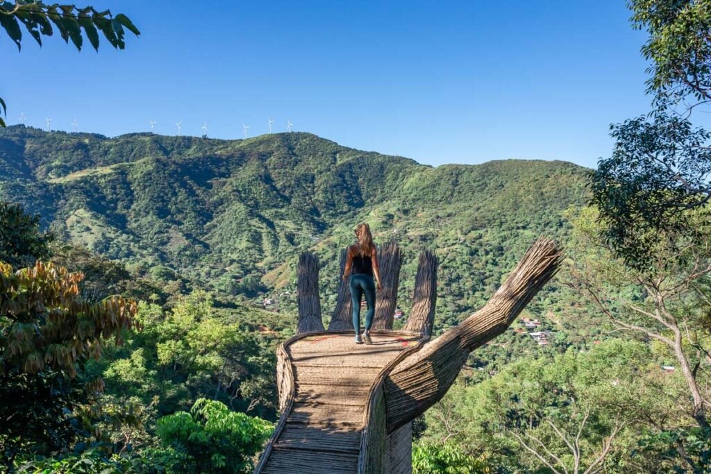 The views over the coffee plantations