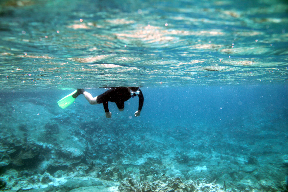 Kapoho Tide Pools snorkeling