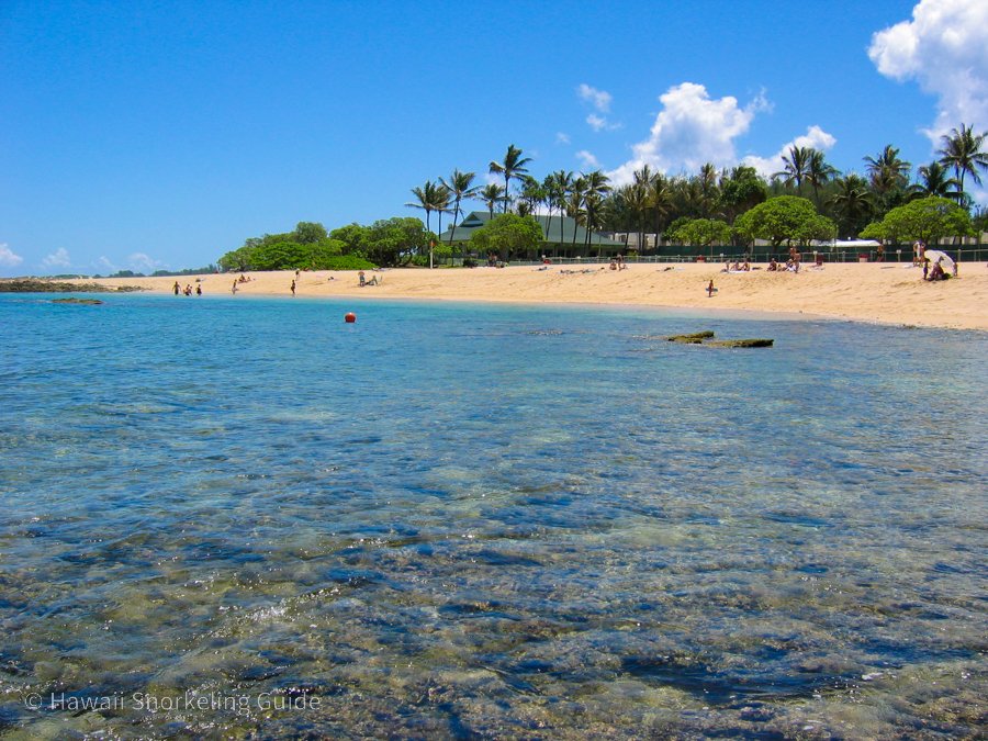 Kuilima Cove
