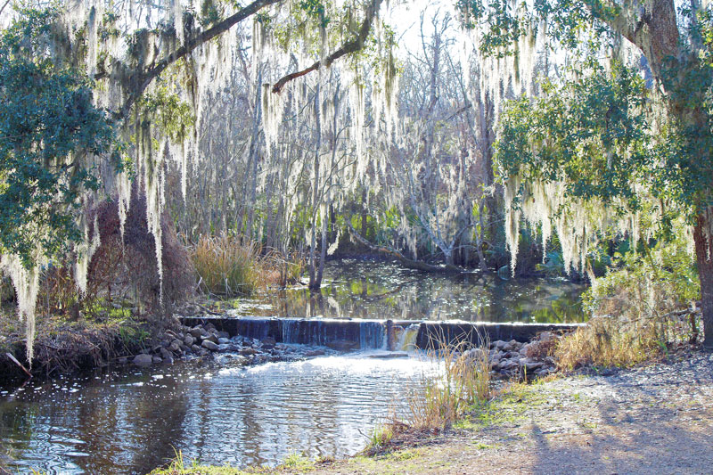 Palmetto island State Park