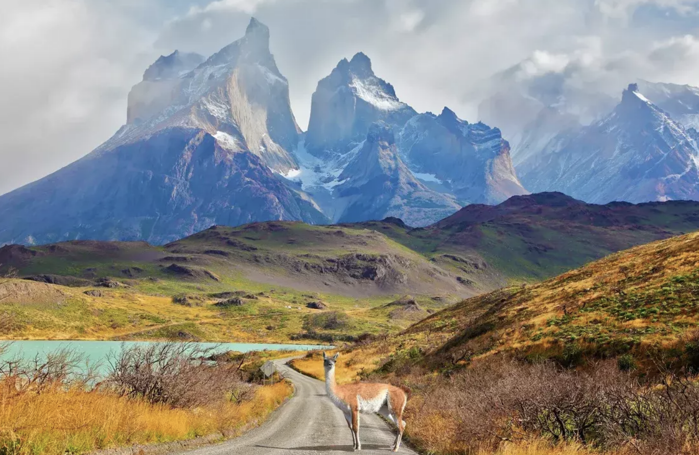 Patagonia