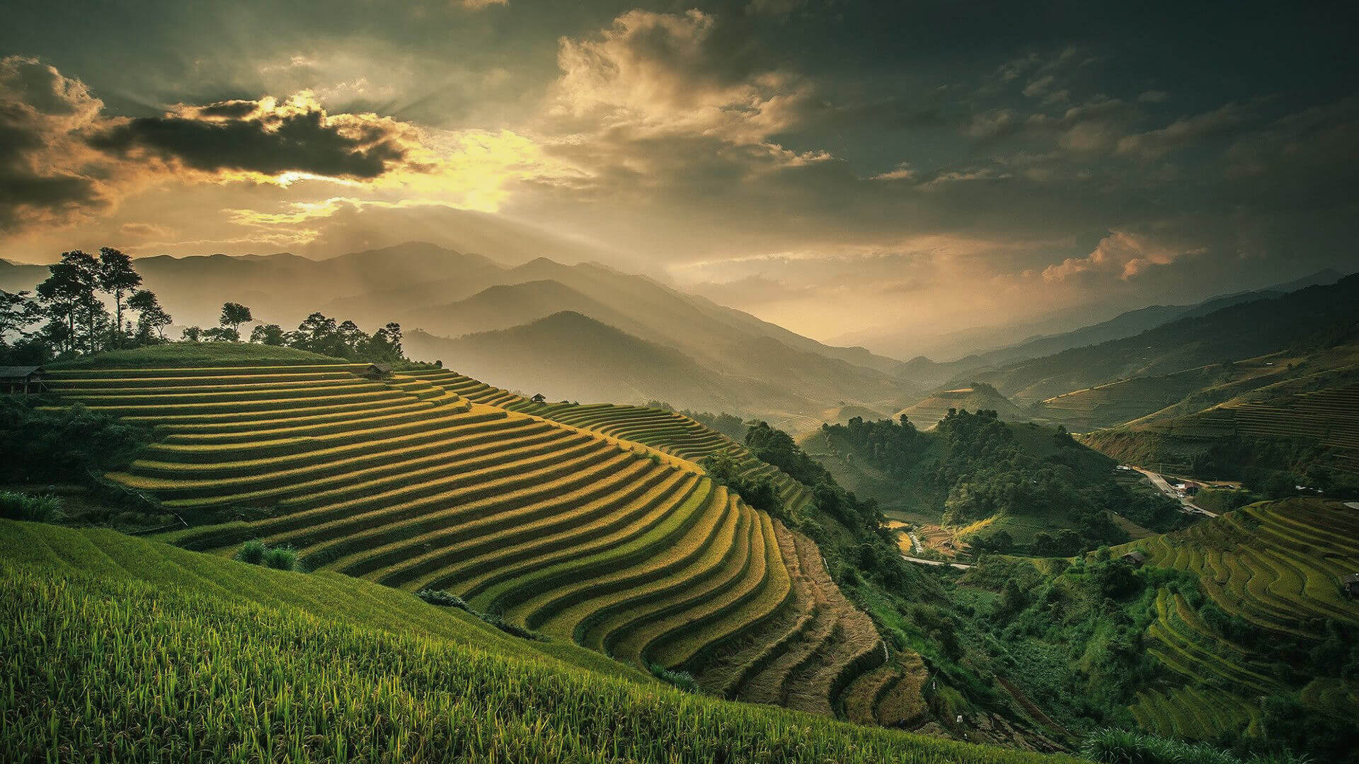 Mountains and fields in Philippines