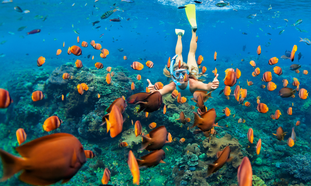 Snorkeling with fish