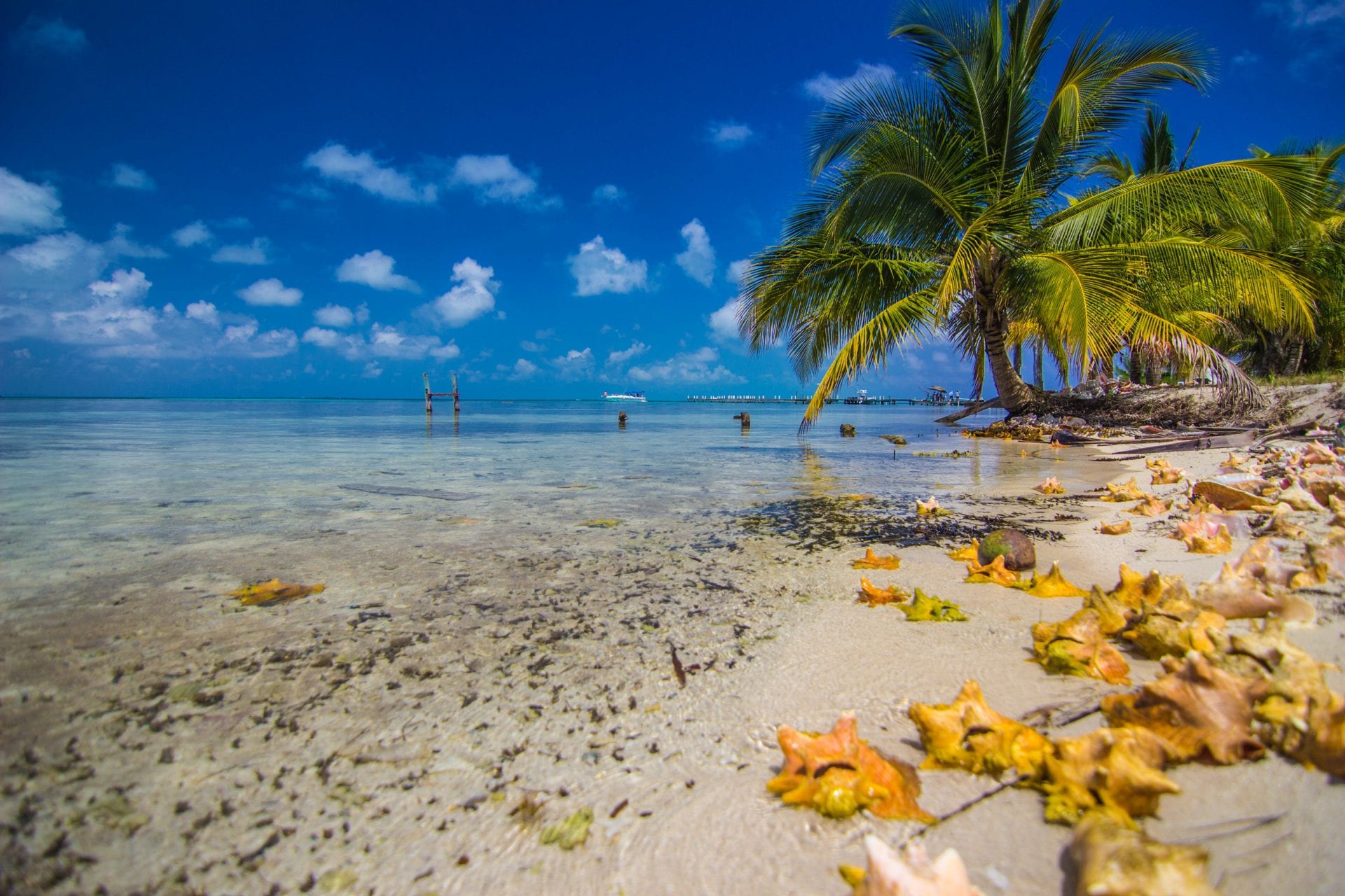 South Water Caye in Belize