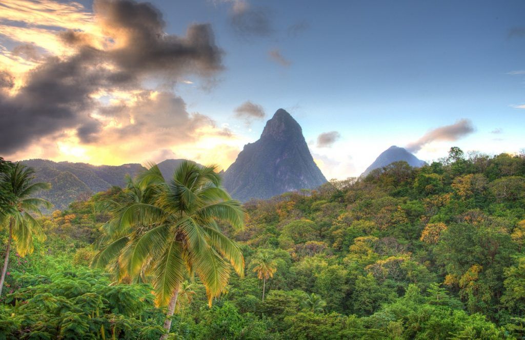 St. Lucia rainforest