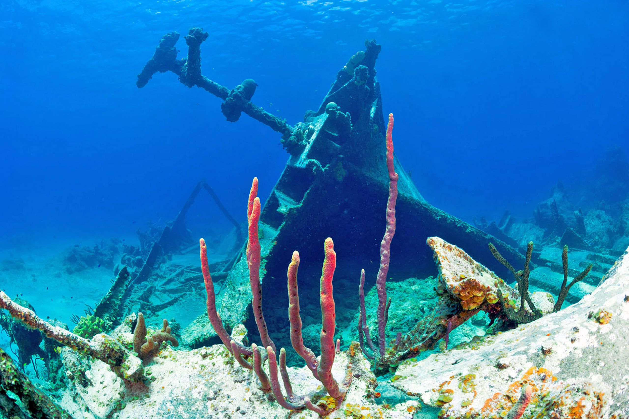Wreck of the Cali