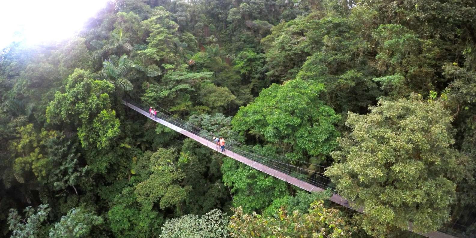 Hanging bridge in Arenal