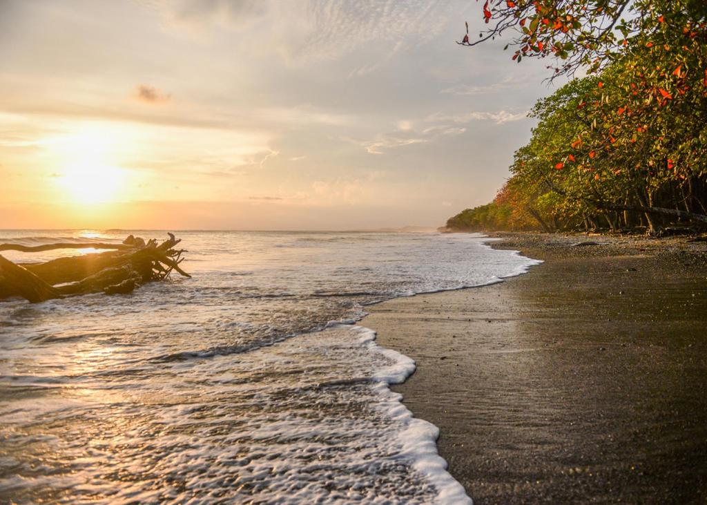 beach at sunset