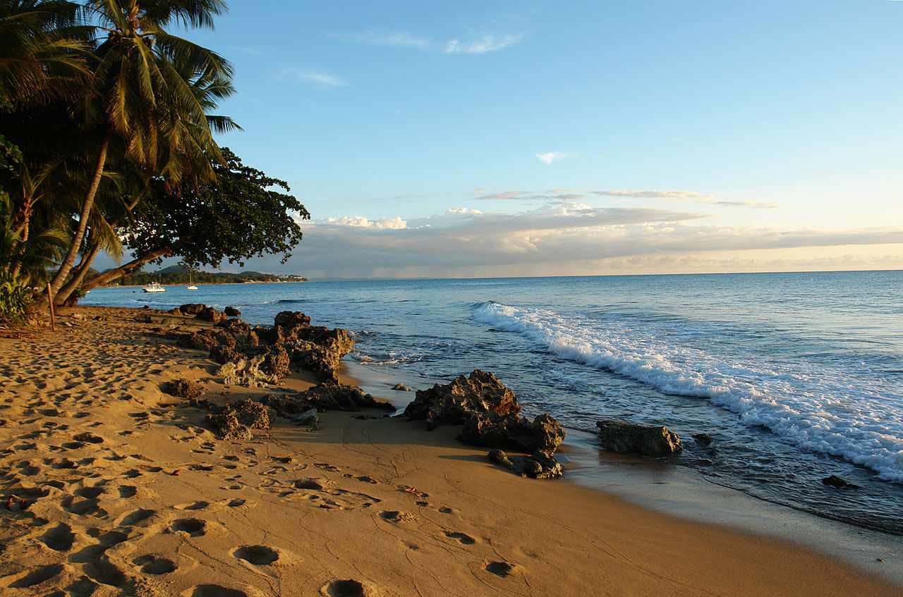 beach in Puerto Rico