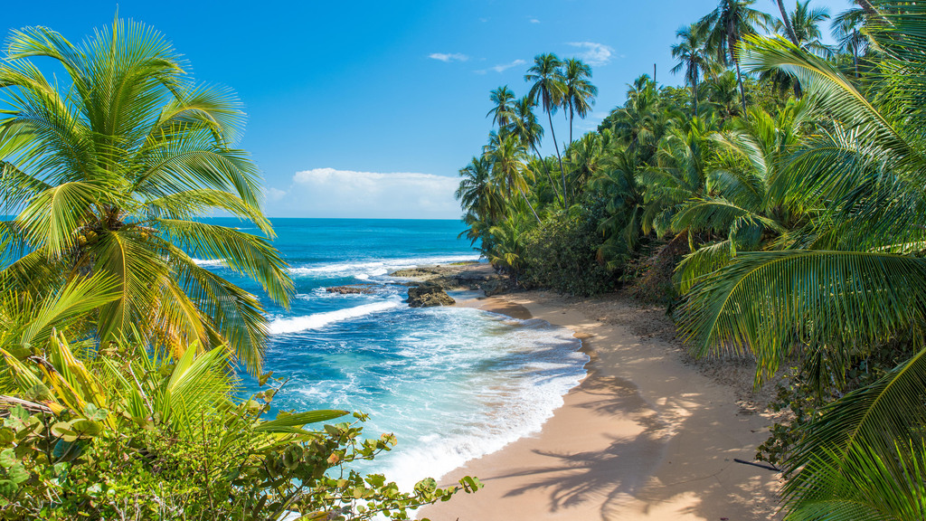 Caribbean beach