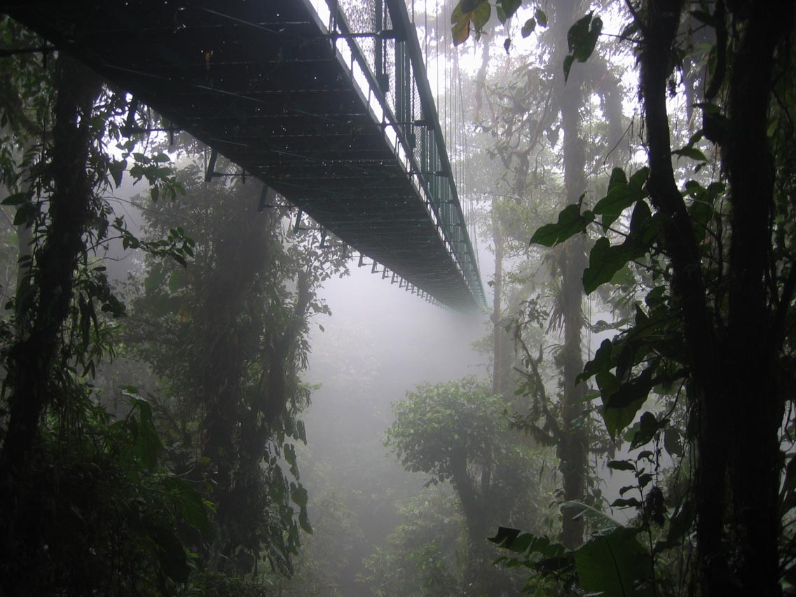 Hanging bridge 