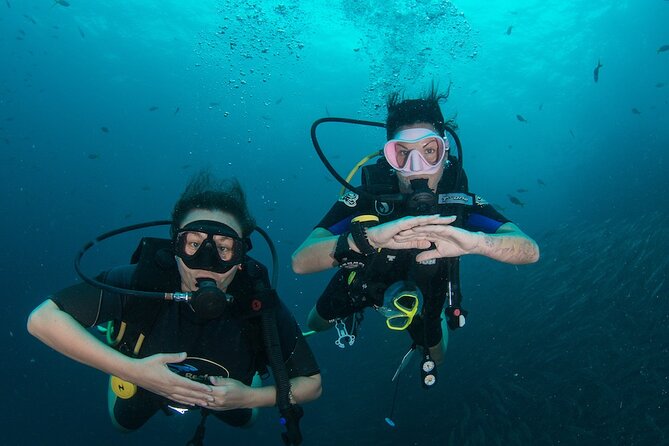 scuba divers at Koh Tao