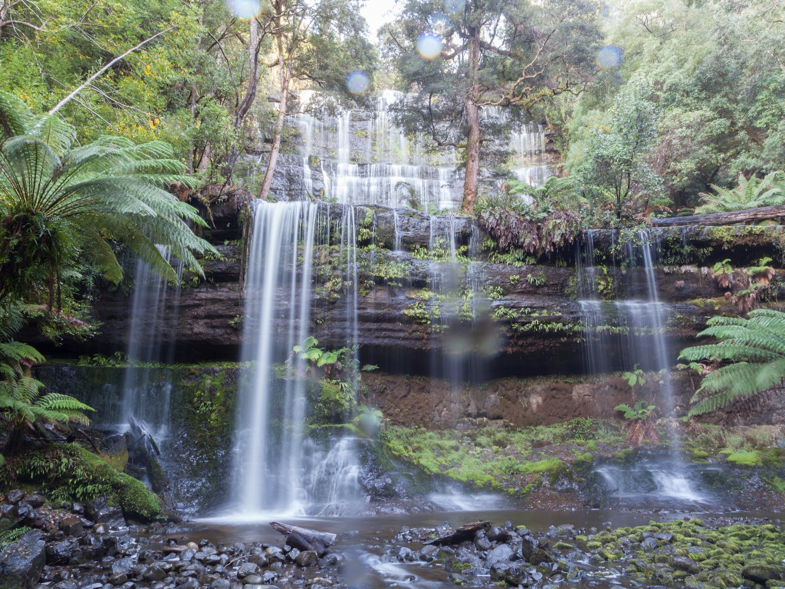 Mount Field National Park