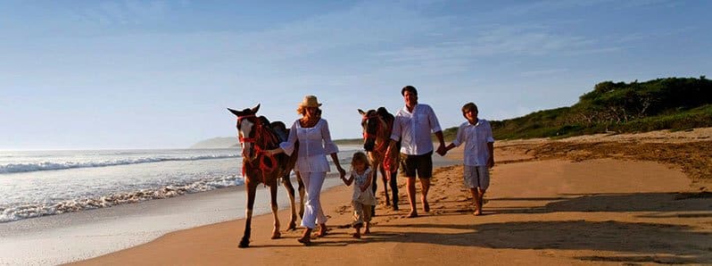 Family walking beach with horses