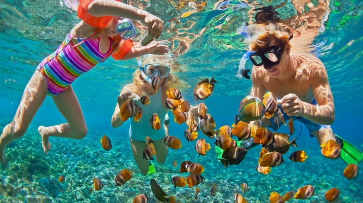 family snorkeling