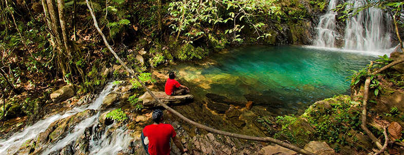 Hikers in the rainforest