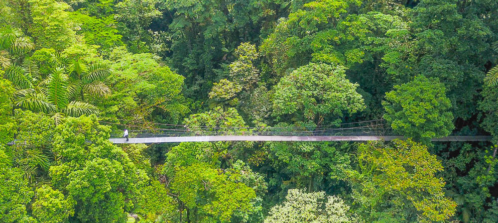 Long hanging bridge