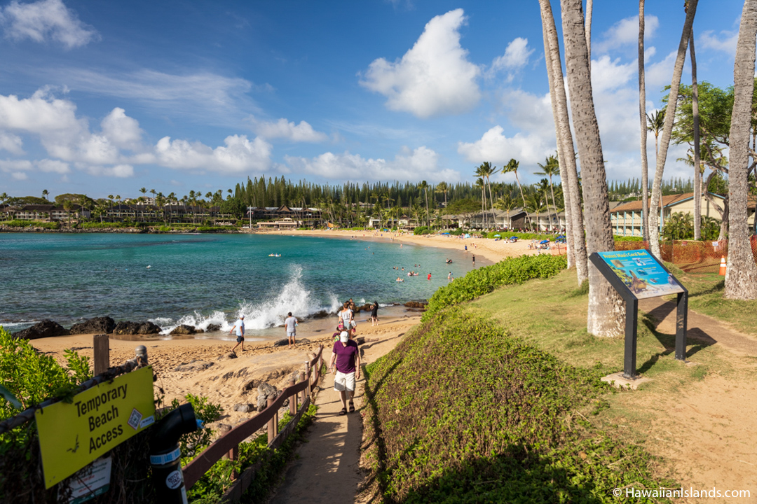 maui beach Napili Bay