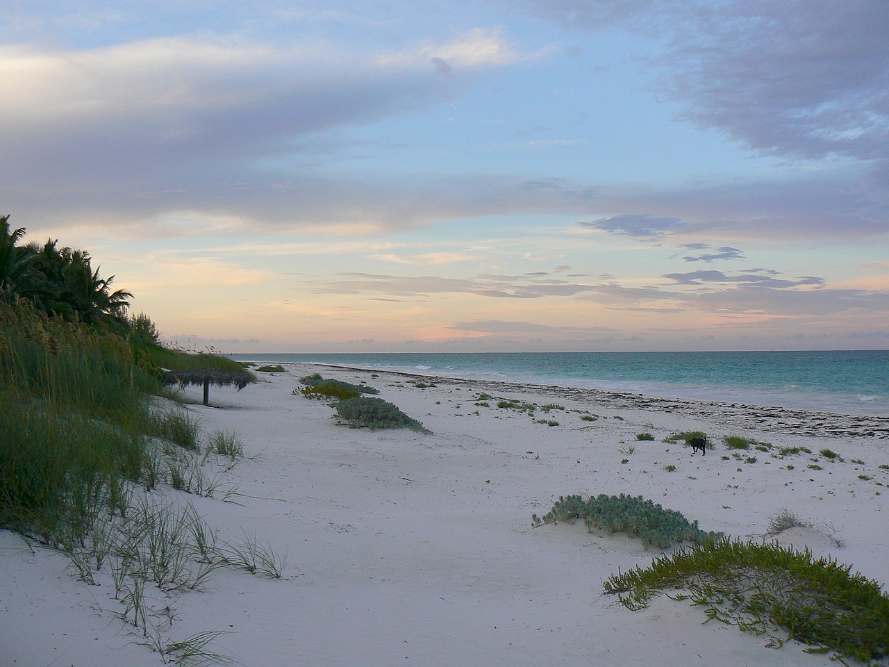 Pink Sands Beach