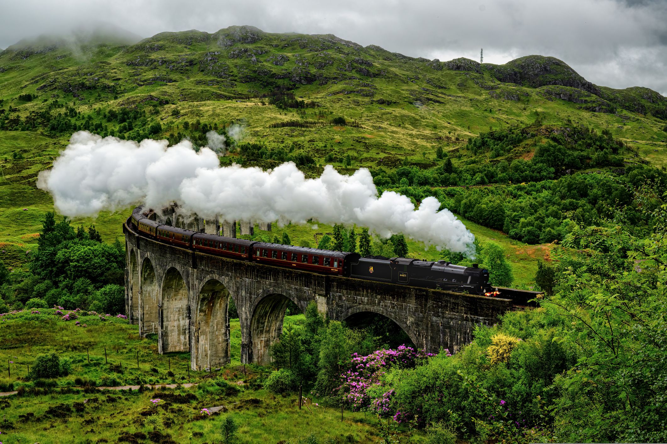 Harry Potter Train