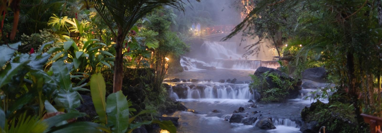 Rainforest