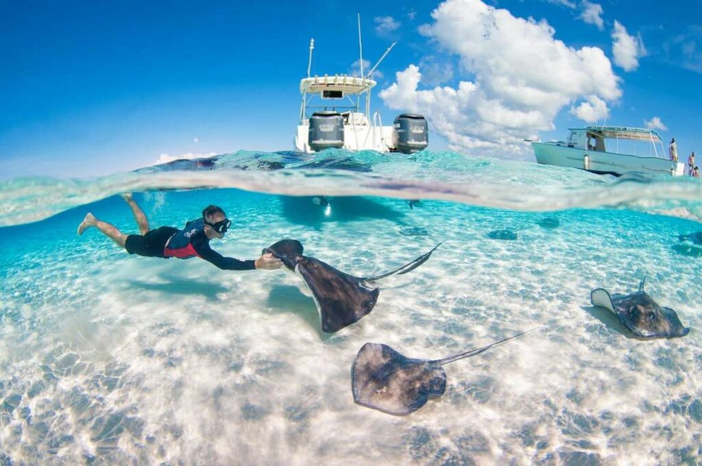swiming with the rays