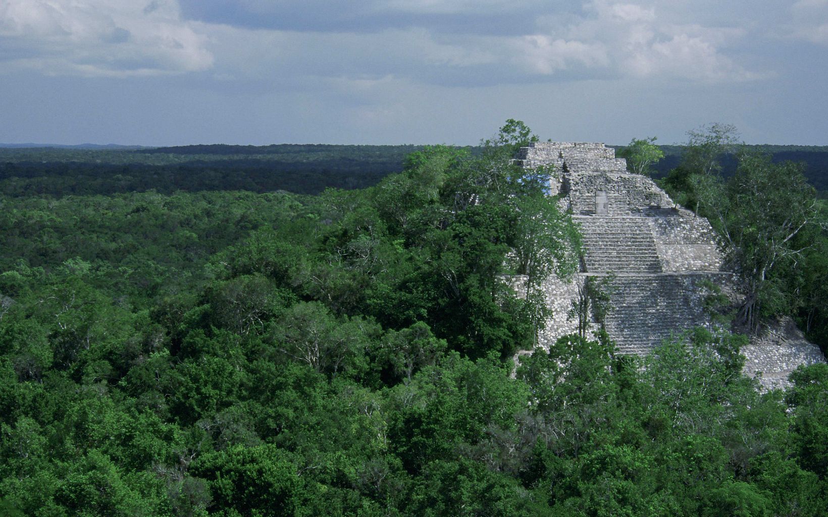 Rio Bravo Conservation and Management Area