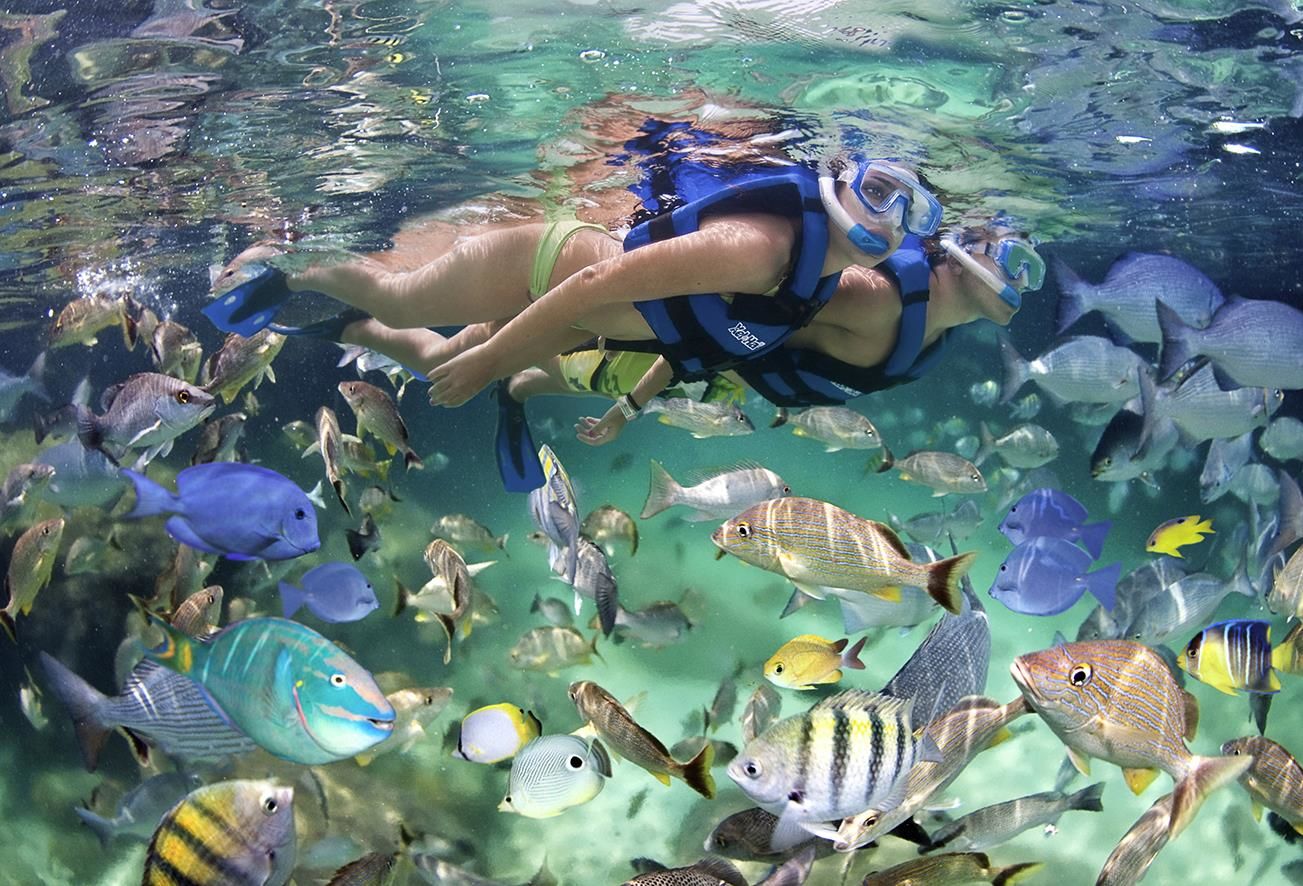Snorkling
