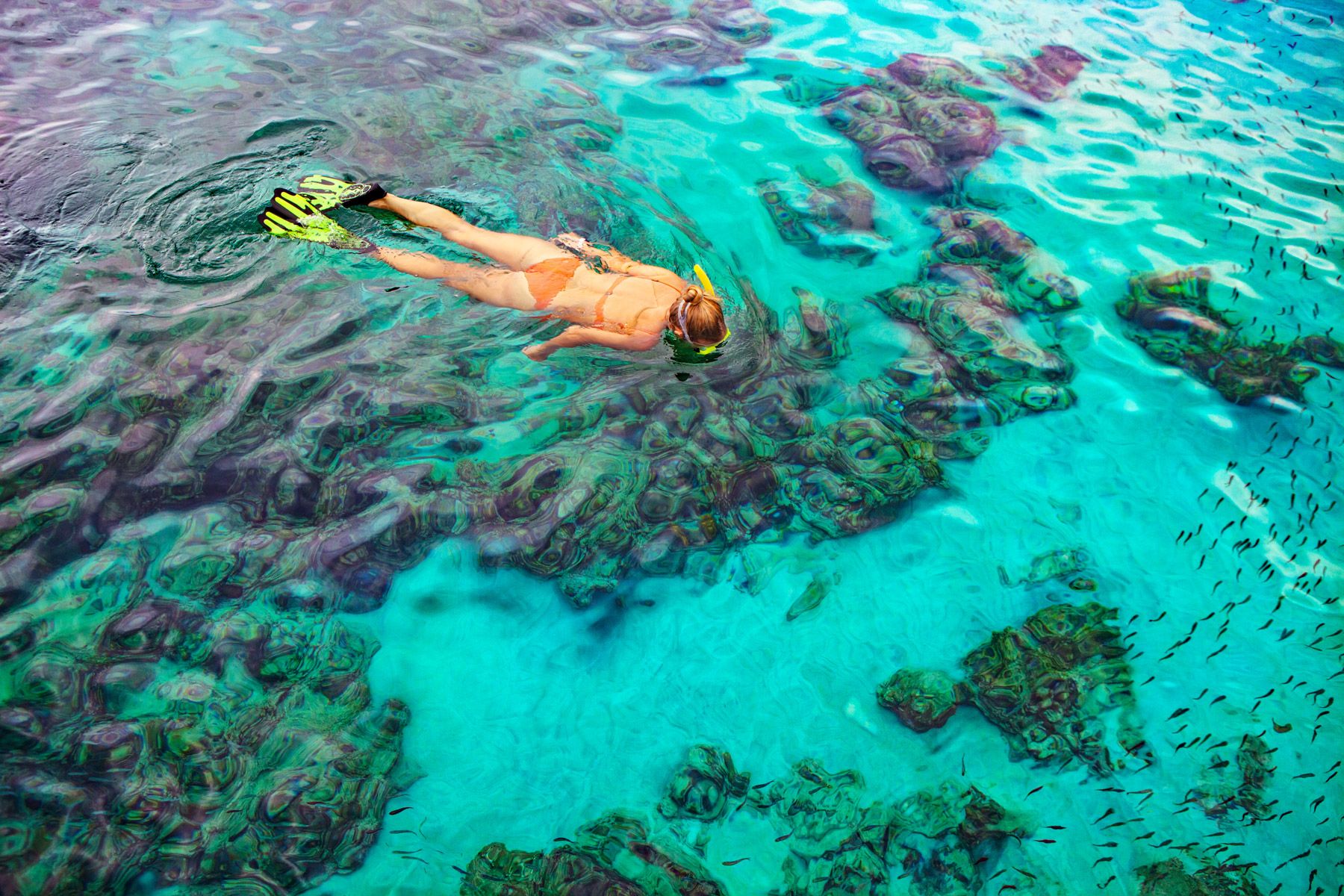 Snorkeling in clear water