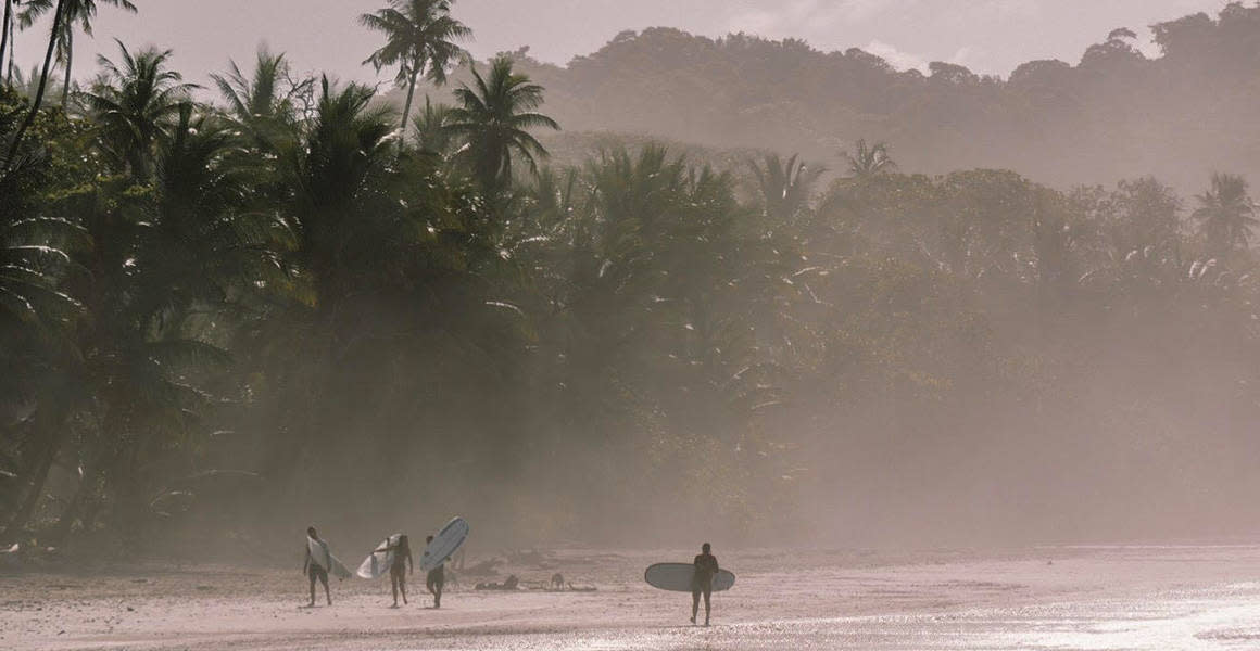 Surfers at the beach