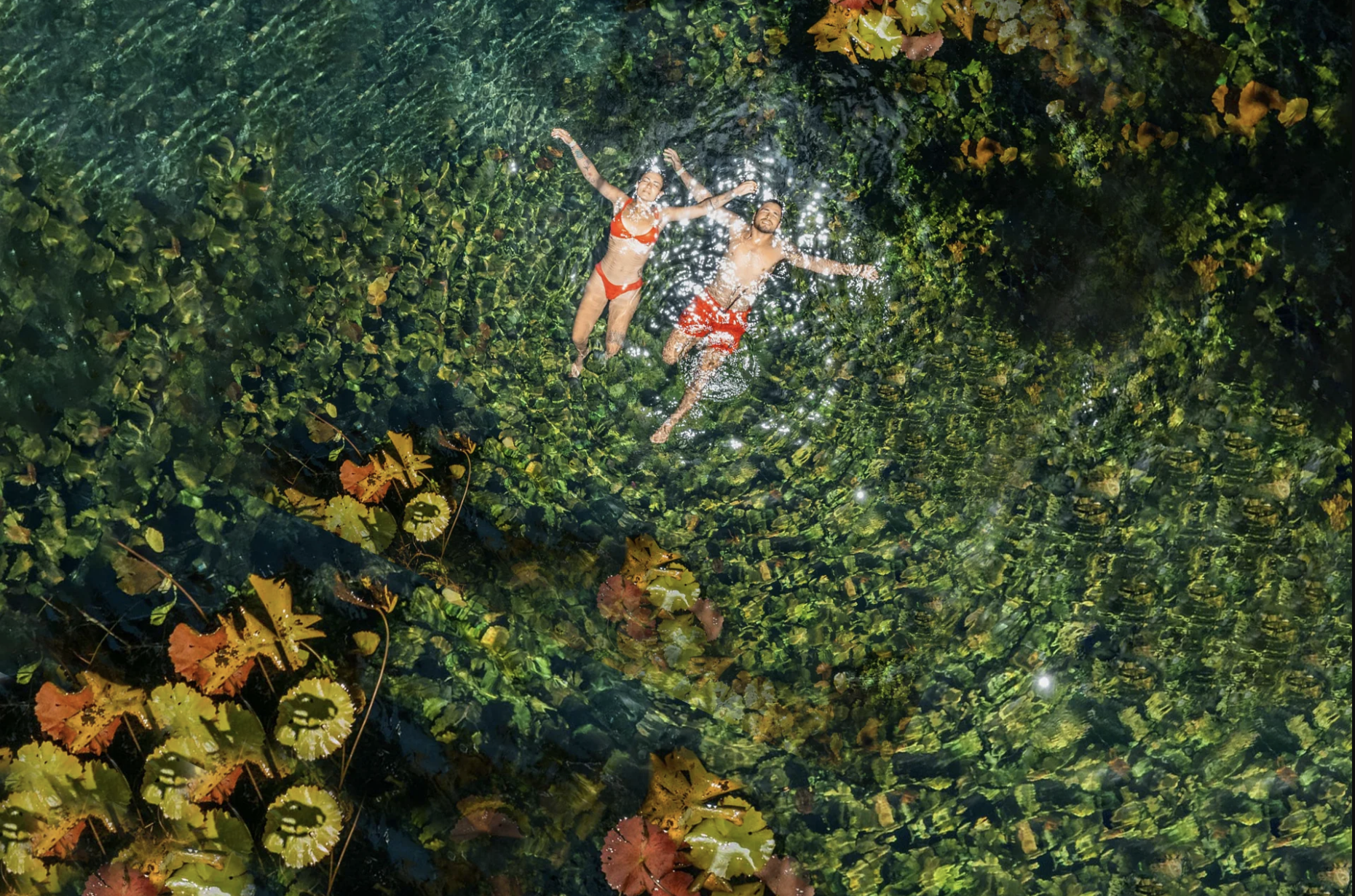 Couple swimming