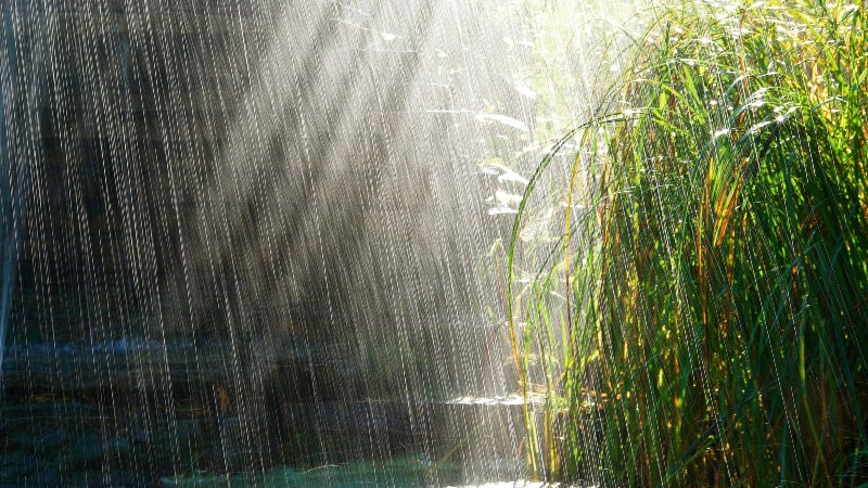 the rain in Costa Rica