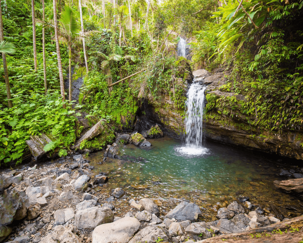 waterfall