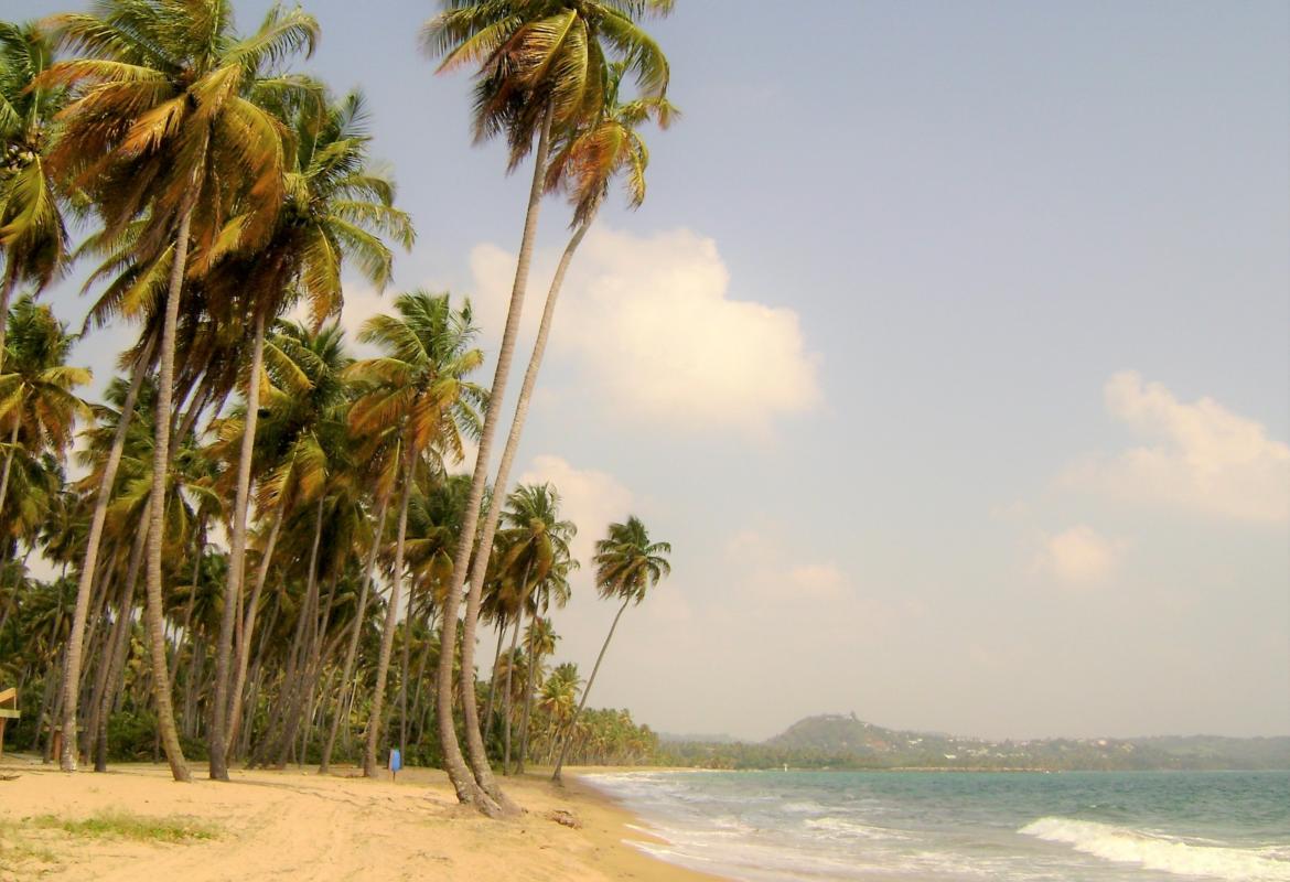 Puerto Rican Beach (image: commons.wikimedia.org)