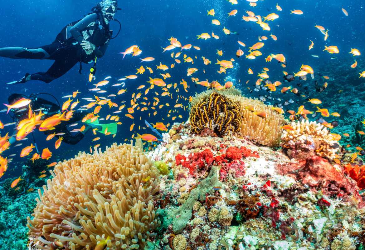 Scuba diving in the Maldives