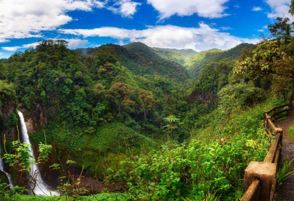 Mountains and rainforest