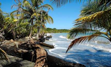 beach