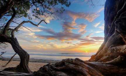 on the beach in Costa Rica